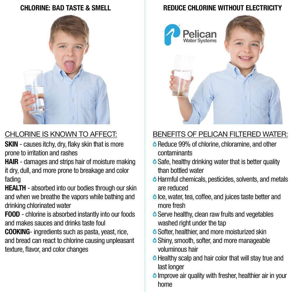 Carbon Replacement Media for Whole House Drinking Water Filter N188156