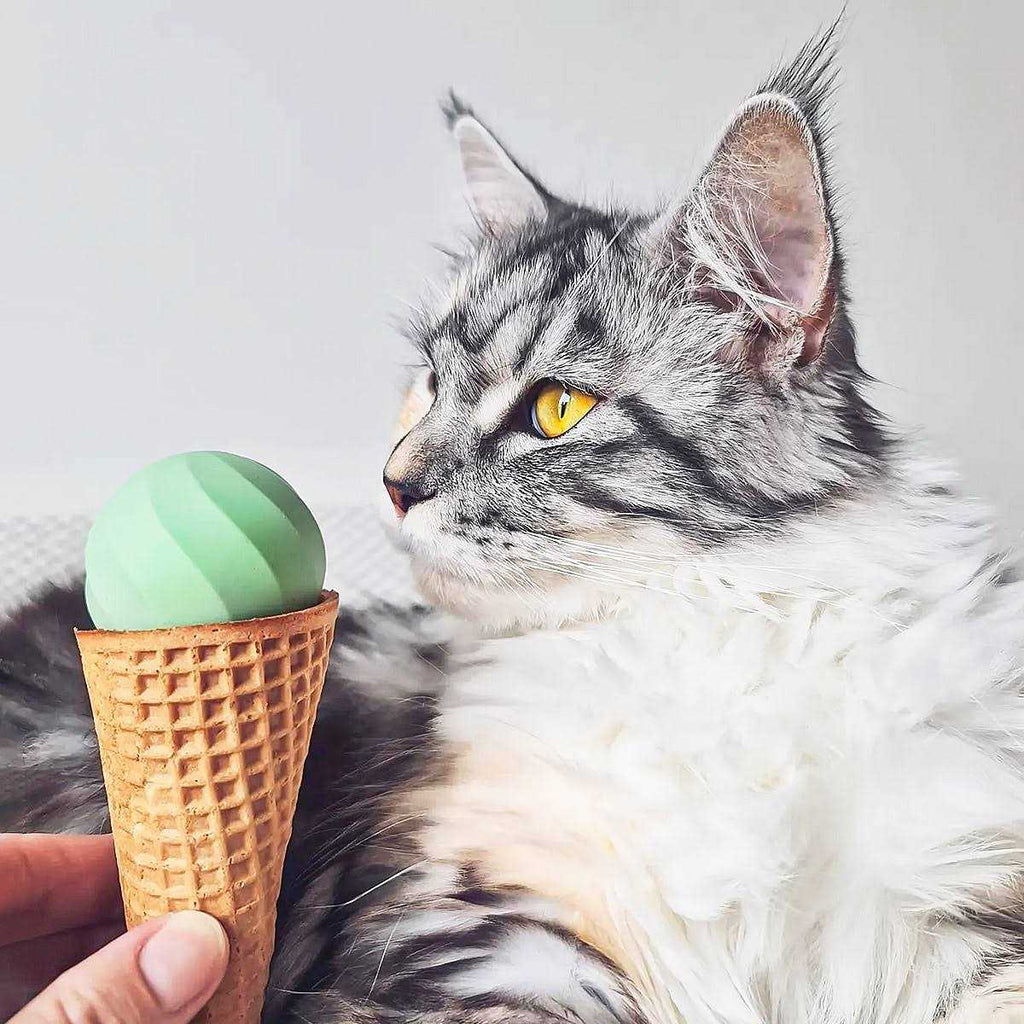 Interactive Cat Toy Ball K68796