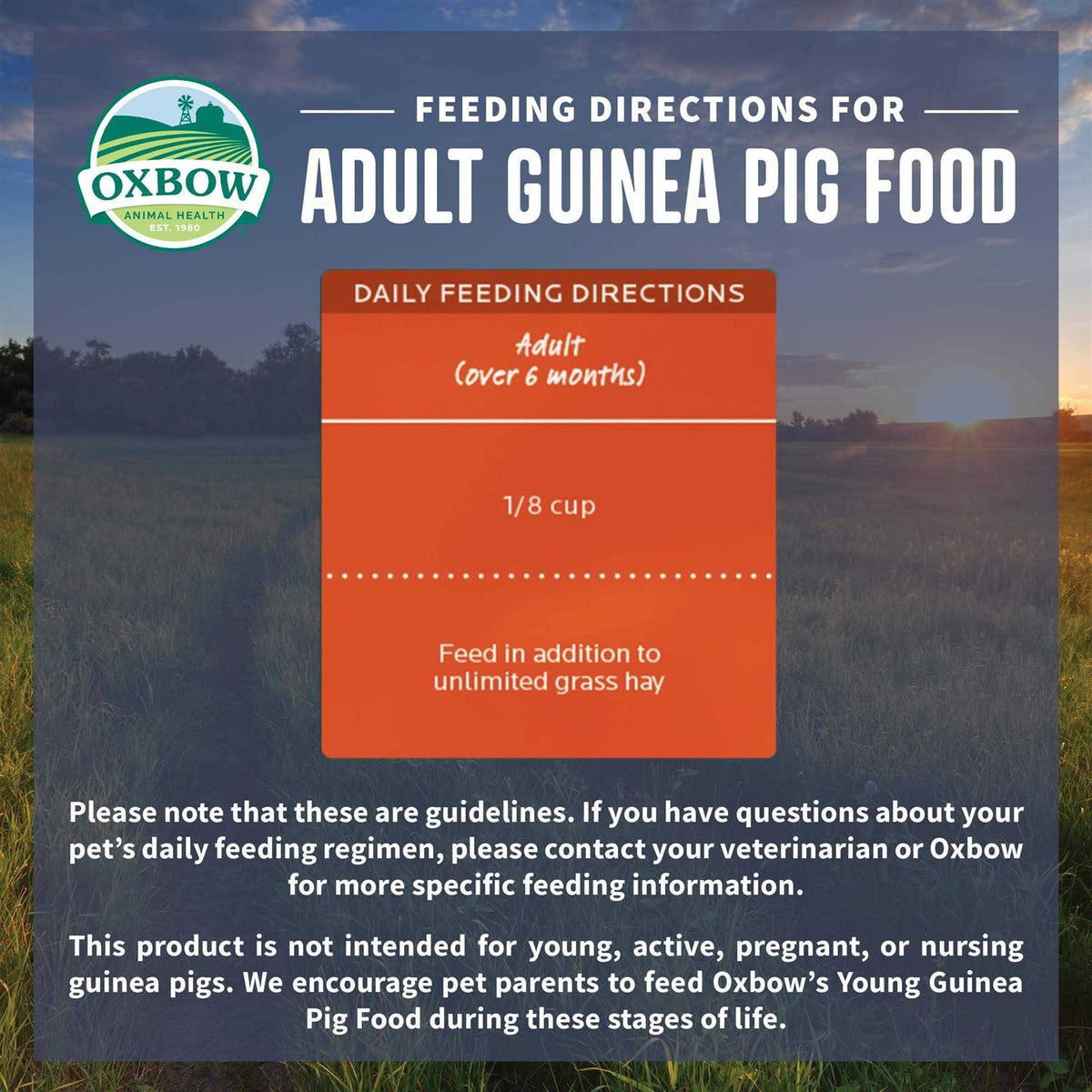 Adult Guinea Pig Food R9896