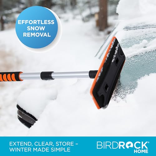 55" Extendable Snow Brush with Detachable Scraper T3427