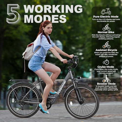 26" 1000W Peak Electric Bike with 48V Removable Li-ion Battery W563