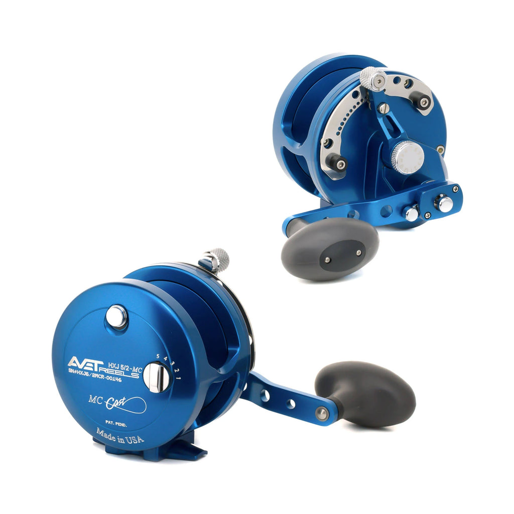 Gunmetal Two Speed Lever Drag Casting Reel L212344