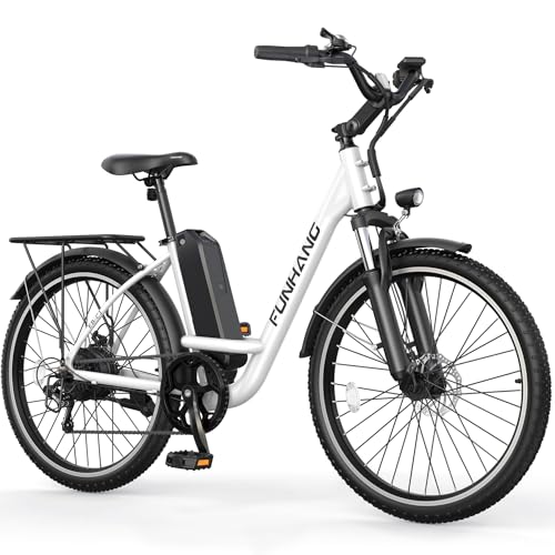 26" 1000W Peak Electric Bike with 48V Removable Li-ion Battery W563