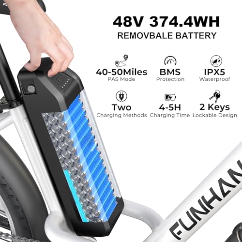 26" 1000W Peak Electric Bike with 48V Removable Li-ion Battery W563