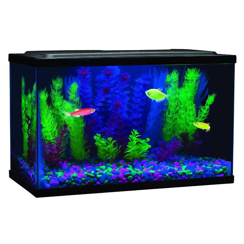 Blue LED Light W21080