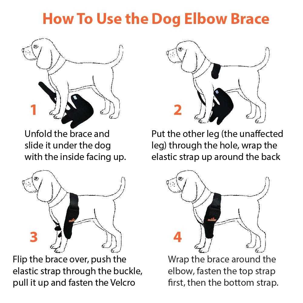 Dog Elbow Brace Protector Pads E92712