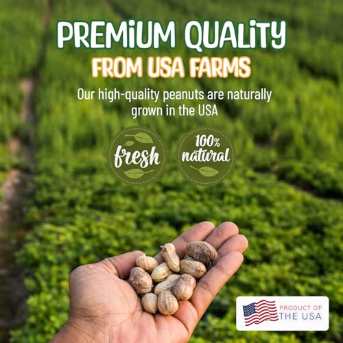 Raw Peanuts in Shell - 10 Pounds P474