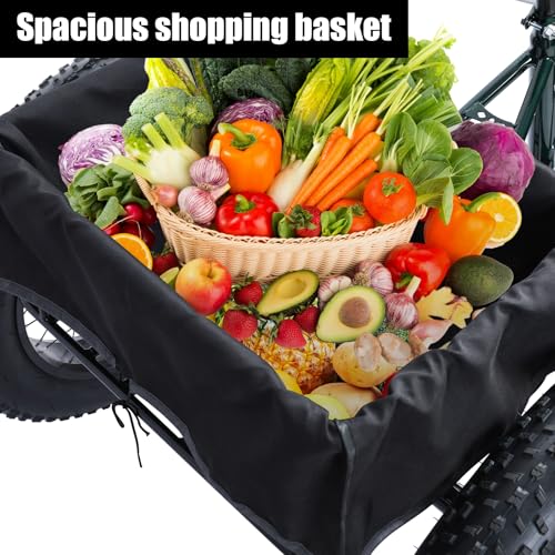 20 Inch 7 Speed Adult Tricycle with Double Disc Brake C994279