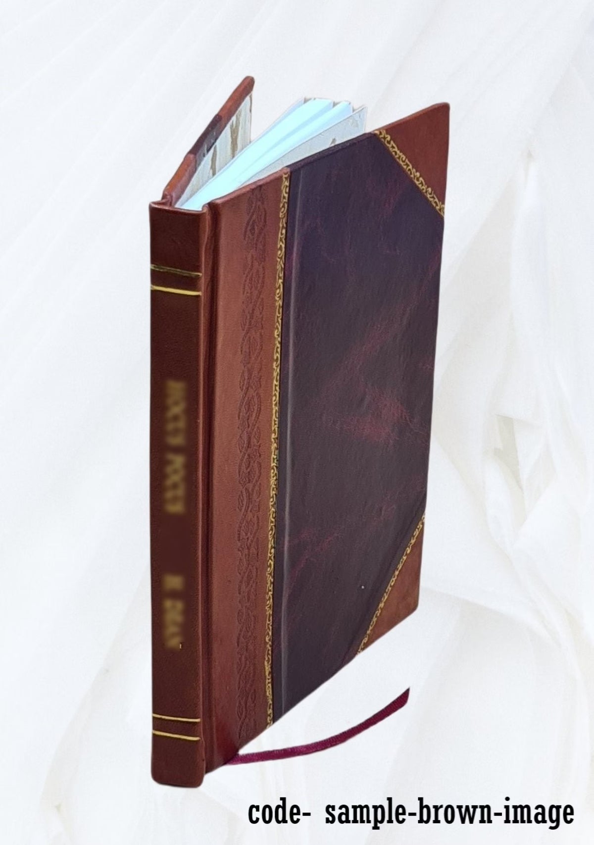 Leather Bound Book I919374