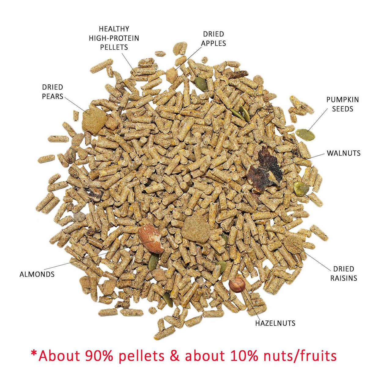 Squirrel Food X7264