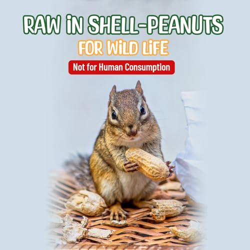 Raw Peanuts in Shell - 10 Pounds P474