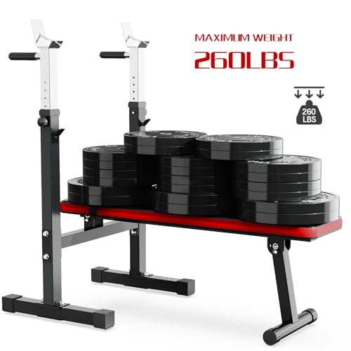 Adjustable Weight Bench Press with Squat Rack Folding Dip Station C221855