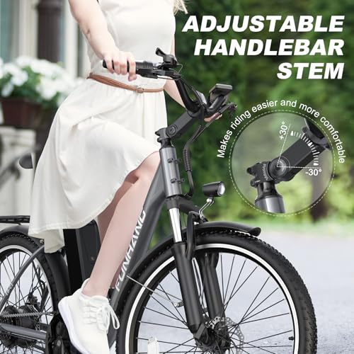 26" 1000W Peak Electric Bike with 48V Removable Li-ion Battery W563