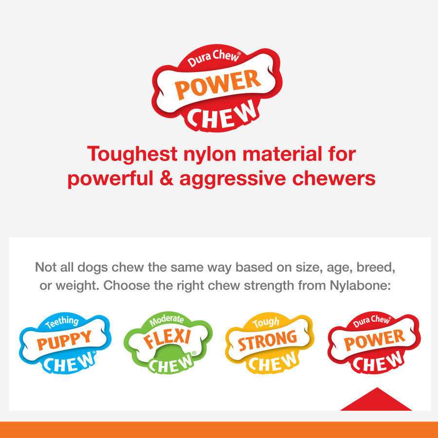 Power Chew Lobster Dog Toy Filet Mignon Z803402