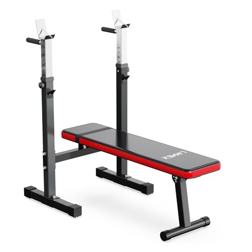 Adjustable Weight Bench Press with Squat Rack Folding Dip Station C221855