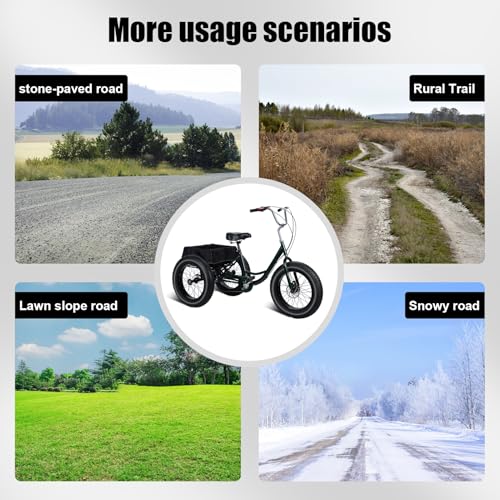 20 Inch 7 Speed Adult Tricycle with Double Disc Brake C994279
