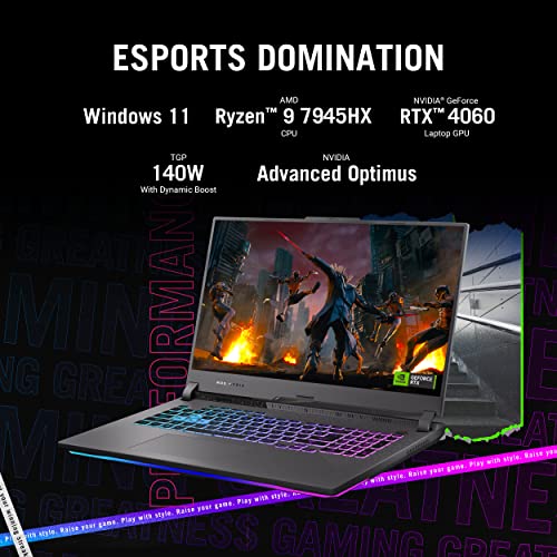 17.3" QHD 240Hz Gaming Laptop, GeForce RTX 4070, AMD Ryzen 9, 16GB DDR5, 1TB PCIe SSD, Eclipse Gray P9522