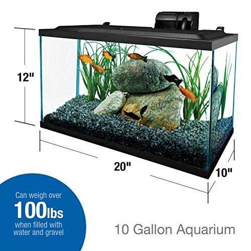 Glass Aquarium 10 Gallons A1950