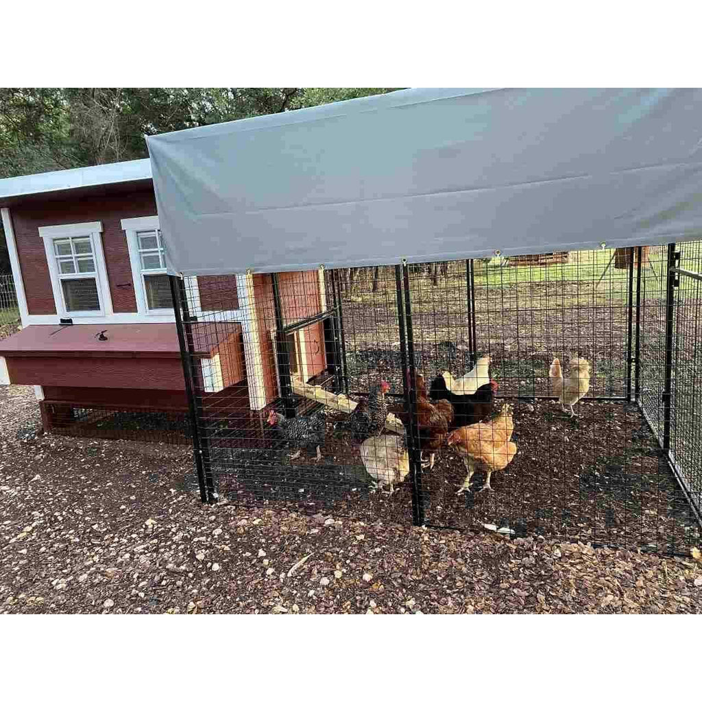 8 ft. Chicken Run L93807