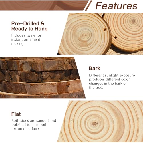 20 Pcs Natural Round Wood Slices Craft Kit R320037