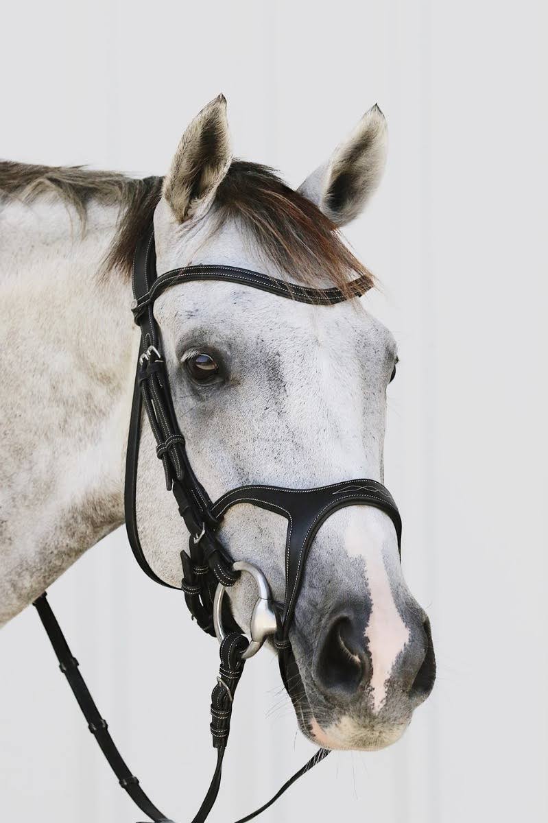 Black Eco Leather Snaffle Bridle V3189