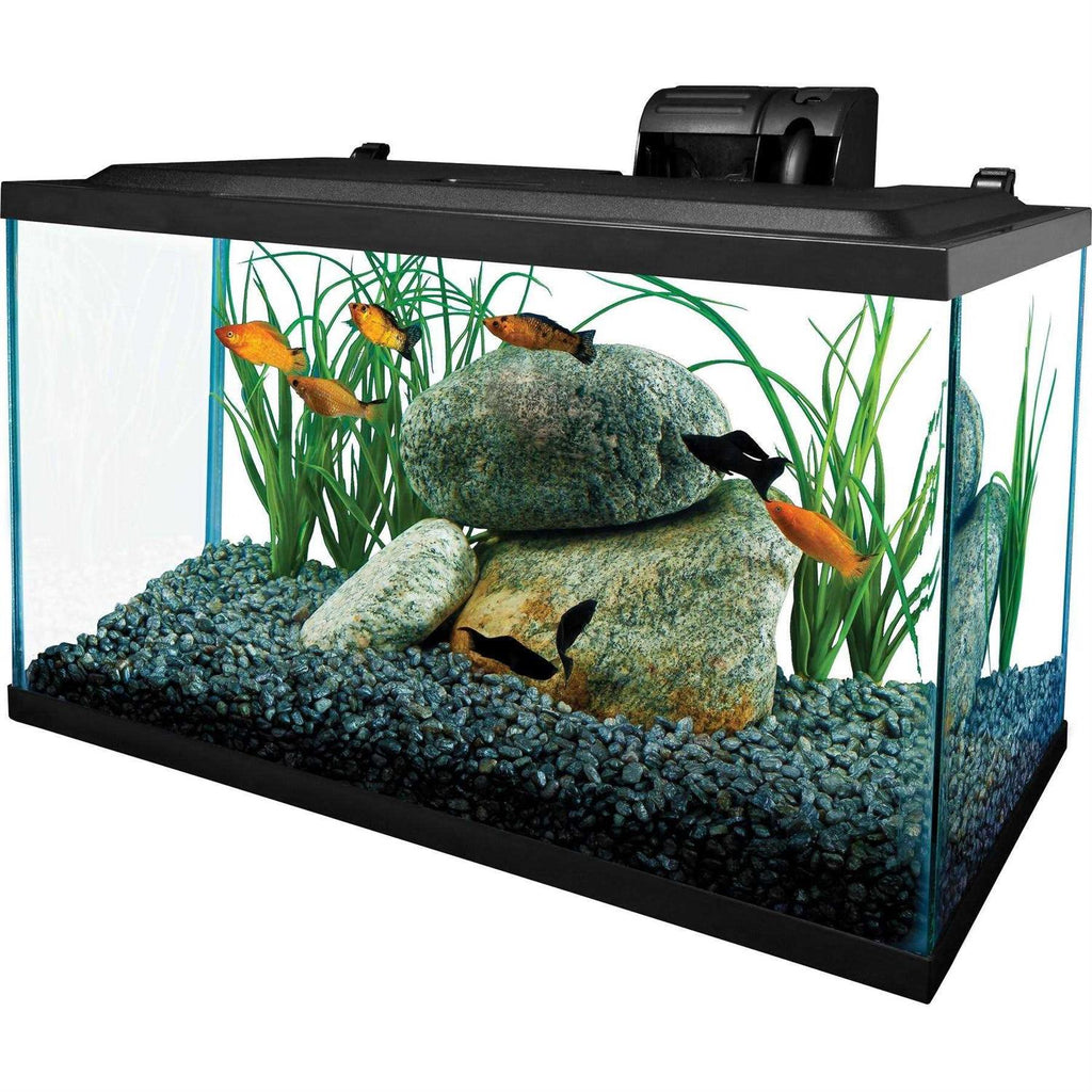 Glass Aquarium 10 Gallons A1950