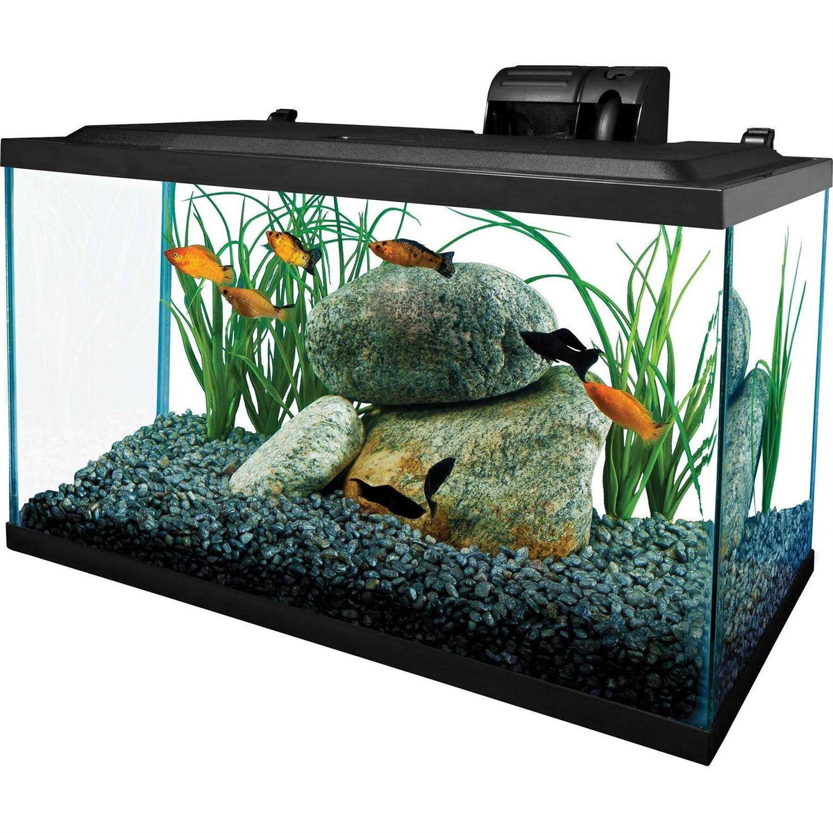 Glass Aquarium 10 Gallons A1950
