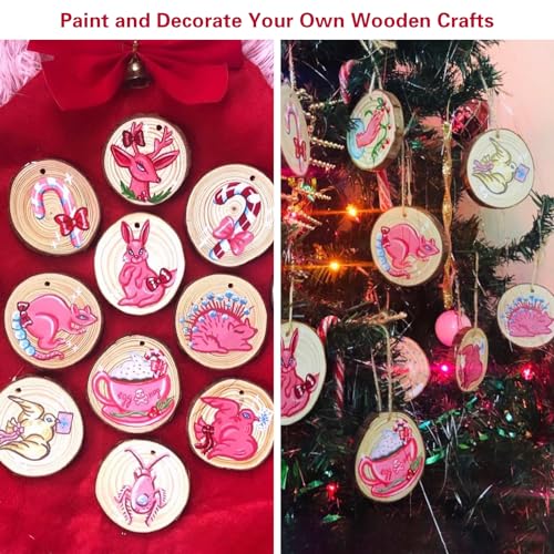 20 Pcs Natural Round Wood Slices Craft Kit R320037