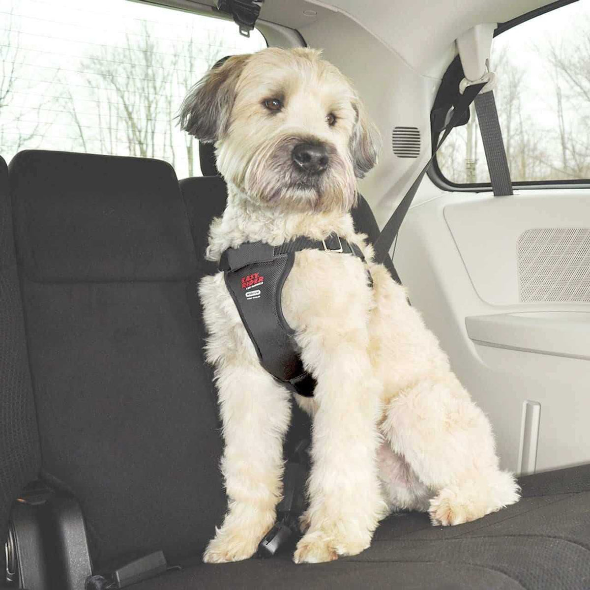 Car Harness N383