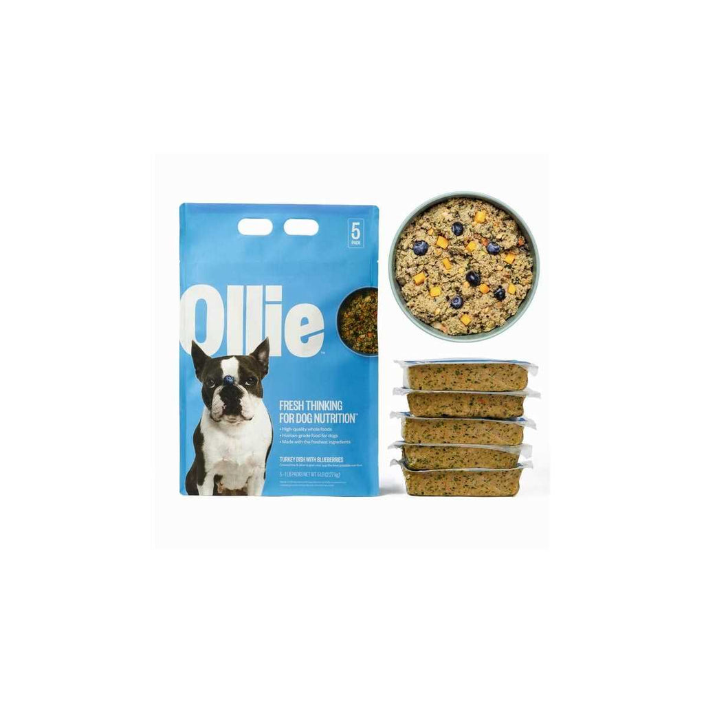 Turkey Dish with Blueberries Frozen Dog Food A614893