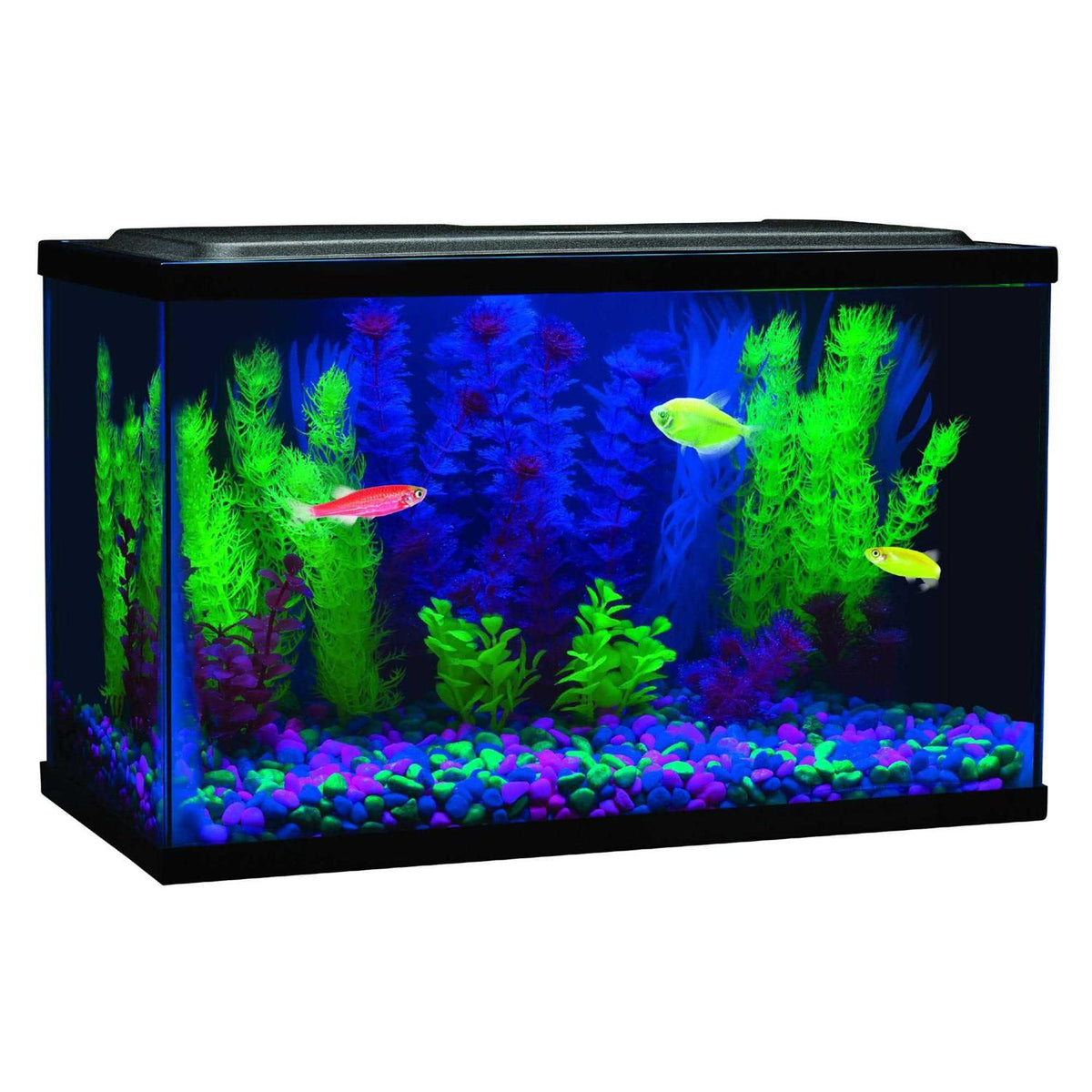 Blue LED Light W21080
