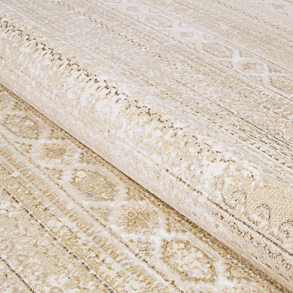 Area Rug A778