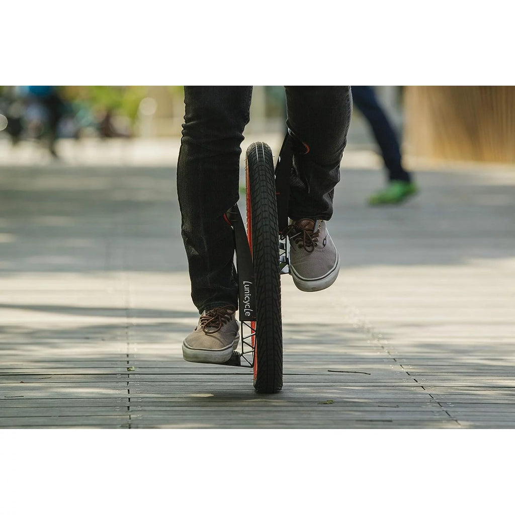 Standing Unicycle P1570