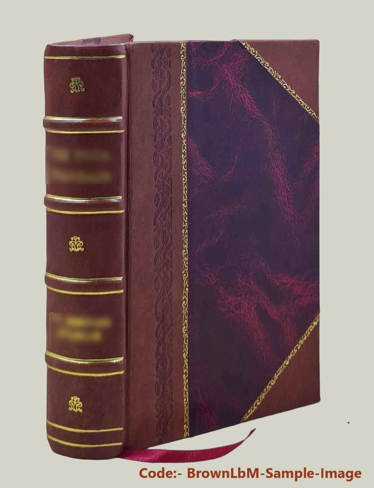 History of St. Charles, Montgomery, and Warren Counties, Missouri Leather Bound O104858