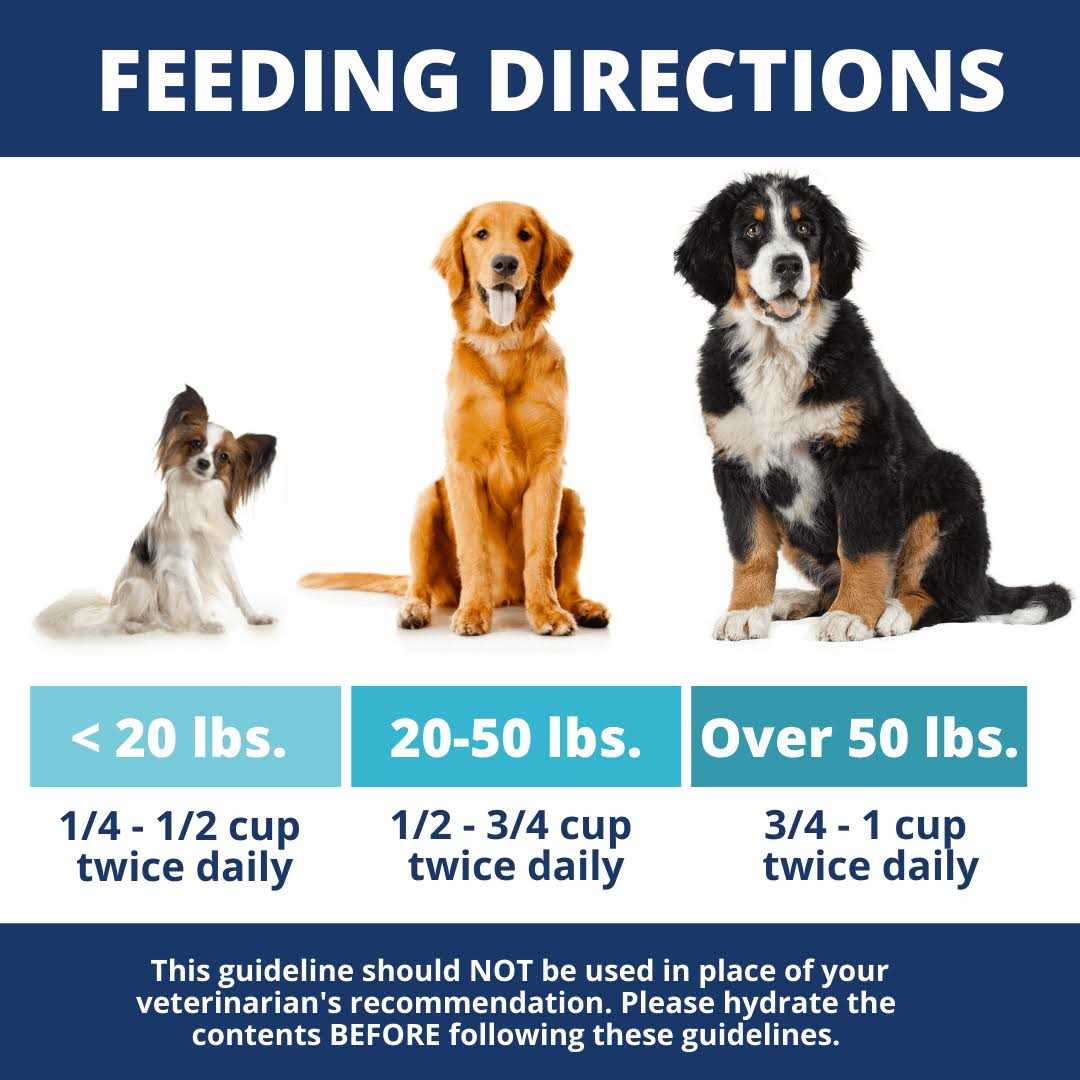 Chicken Rice & Pumpkin Freeze-Dried Dog Food X55033
