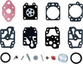 Carburetor Repair Kit Z814