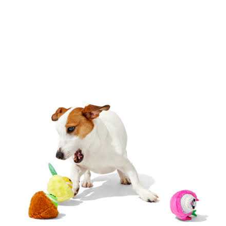 Dog Toys Squeaker Ball Toys J707