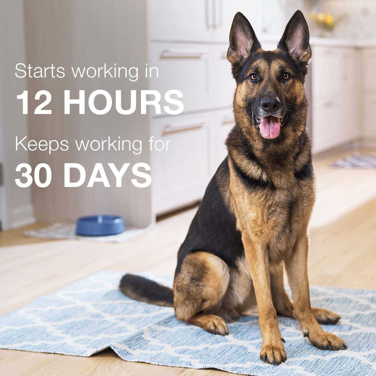 Advantage II for Dogs 3 F5617