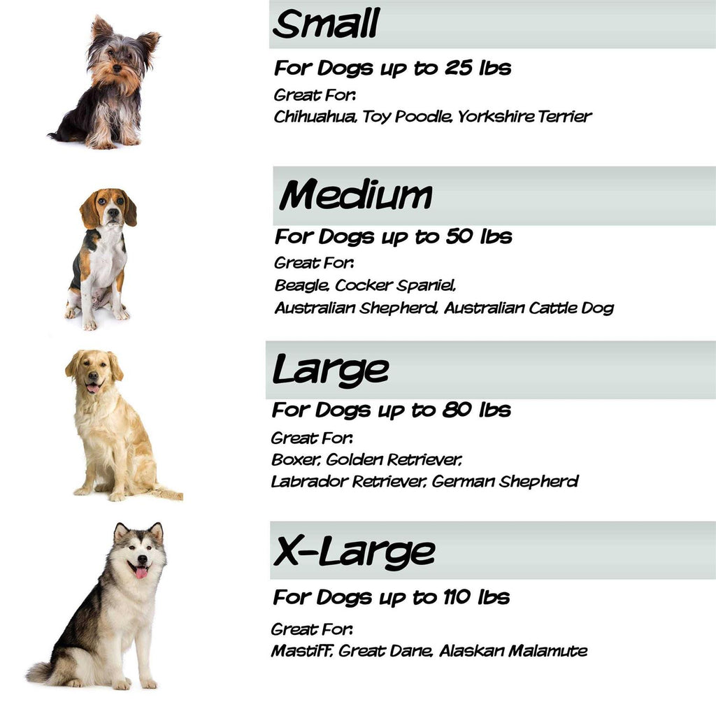 Elevated Pet Bed L30002