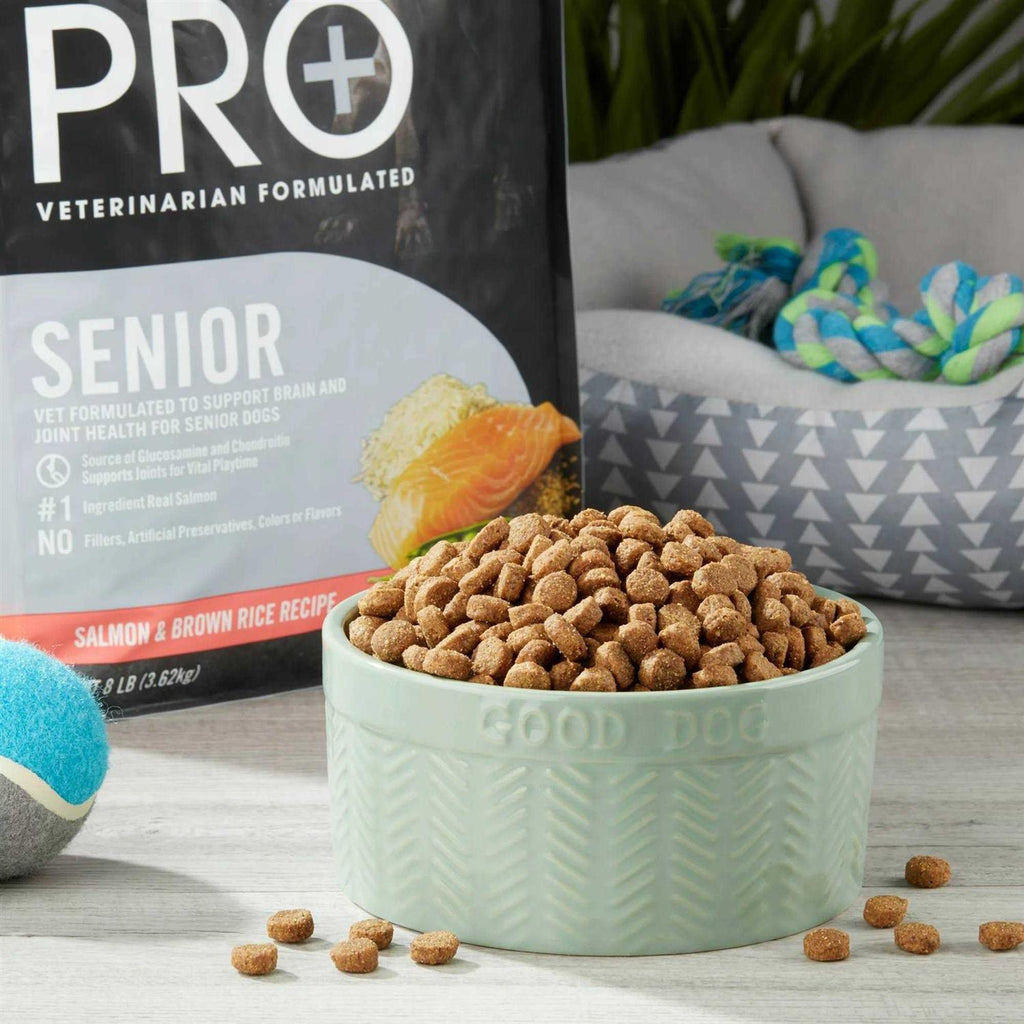 Senior Salmon & Brown Rice Dry Dog Food S9544