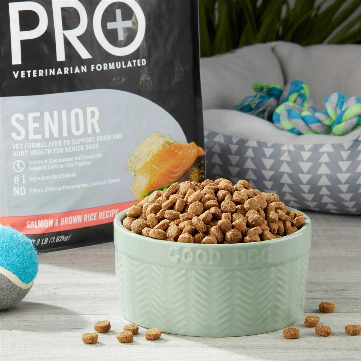 Senior Salmon & Brown Rice Dry Dog Food S9544