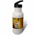 Red Fox Flip Straw 21oz Water Bottle R78072
