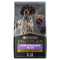 High Protein Chicken & Rice Dry Dog Food 6 lb D56493