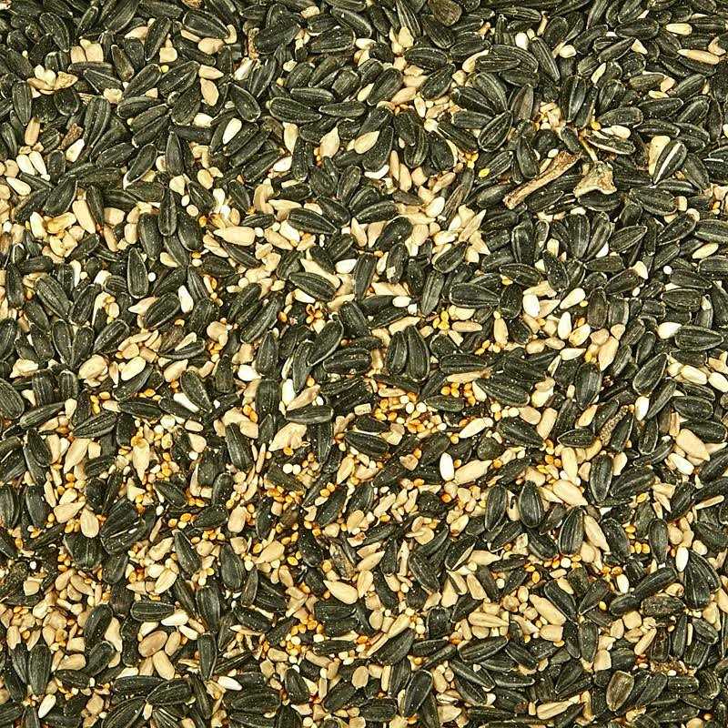 Wild Bird Food Y3387