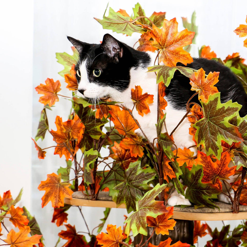 Large Square Cat Tree H340602