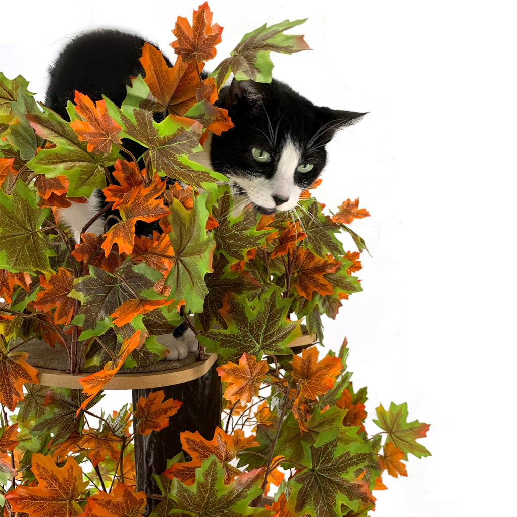 Large Square Cat Tree H340602