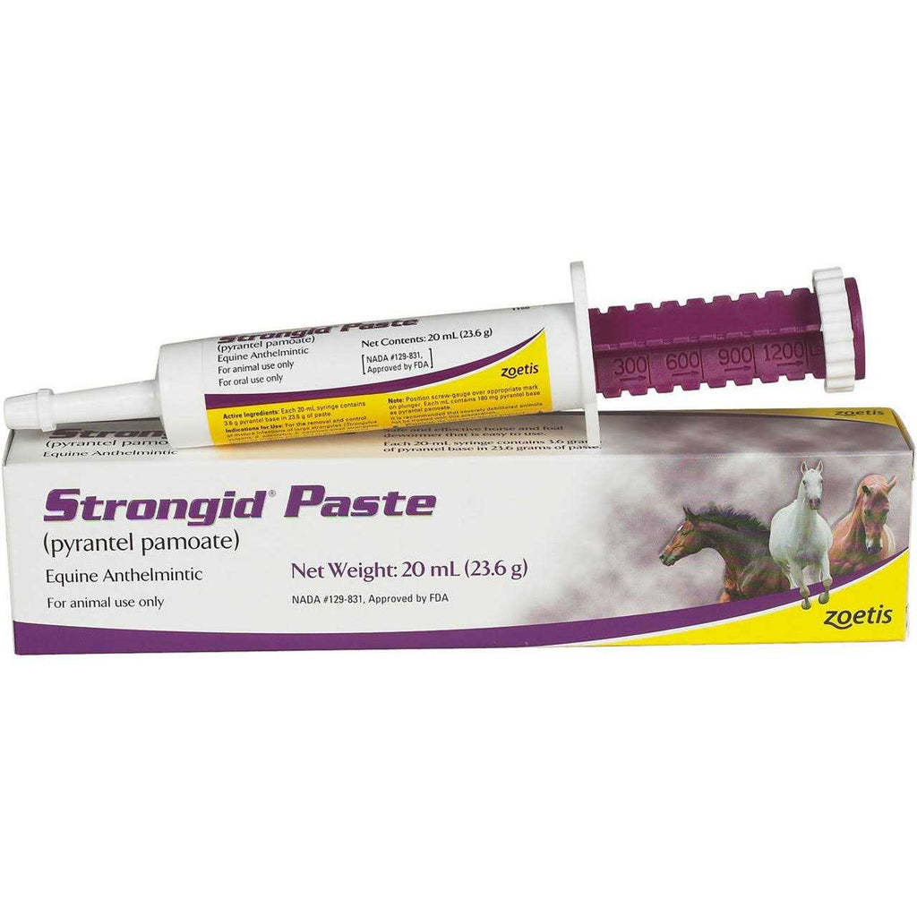 Strongid Paste V204905
