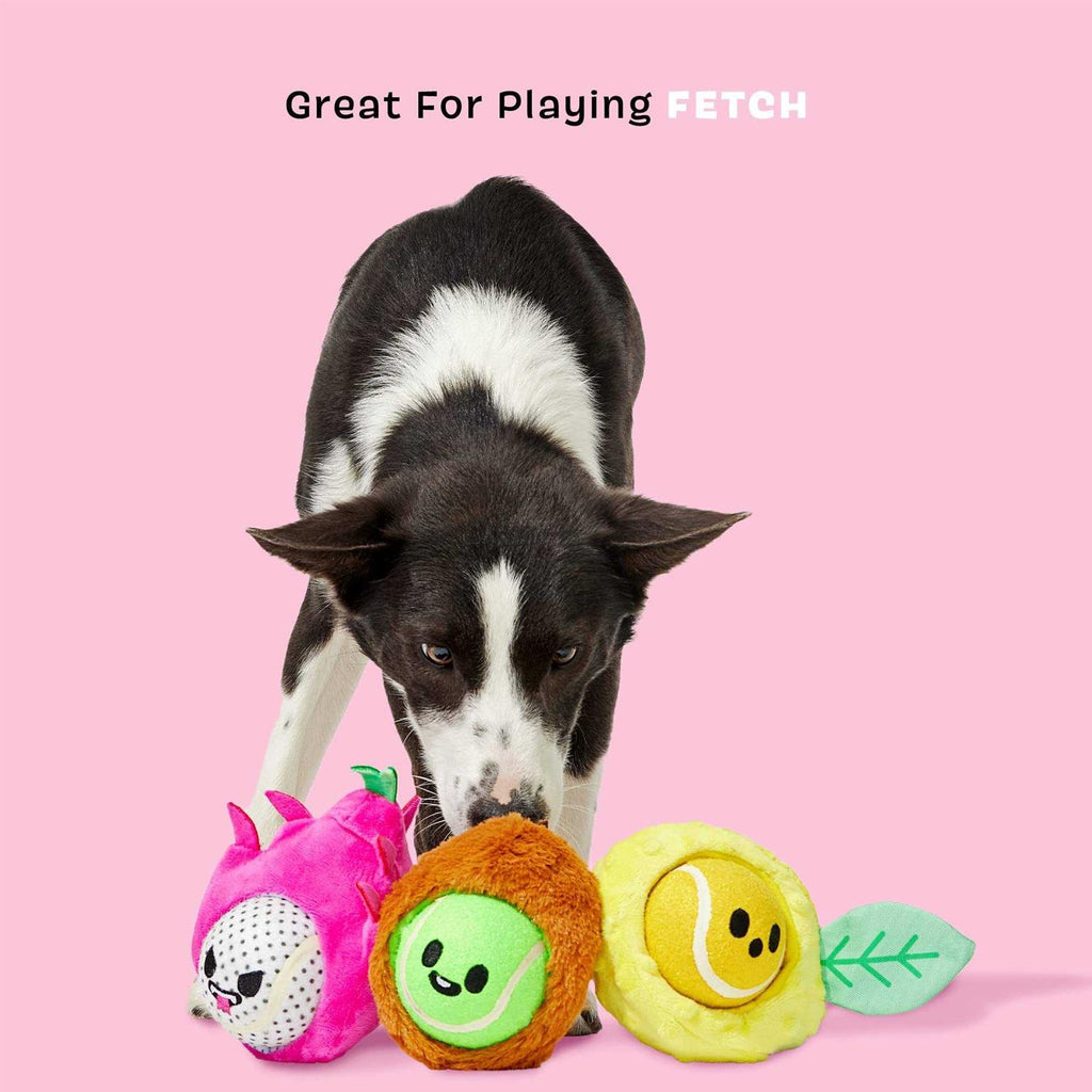Dog Toys Squeaker Ball Toys J707