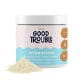 Dog Hydration and Recovery Powder with Electrolytes Vitamins 3.7 oz Beef B25876