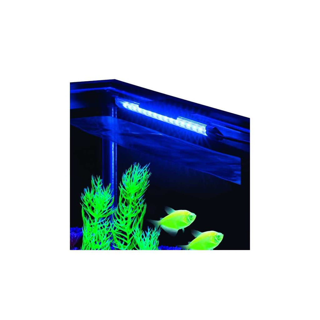 Blue LED Light W21080
